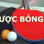 Kinh Nghiệm Chơi Cược Bóng Bàn Đạt Hiệu Quả Cao